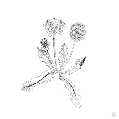 Atelier La Mallette - Lucie Deck