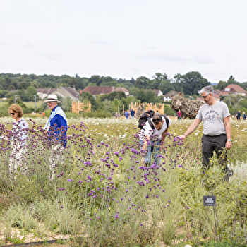 Atelier: La biodiversité près de chez vous - Saline royale - ARC-ET-SENANS