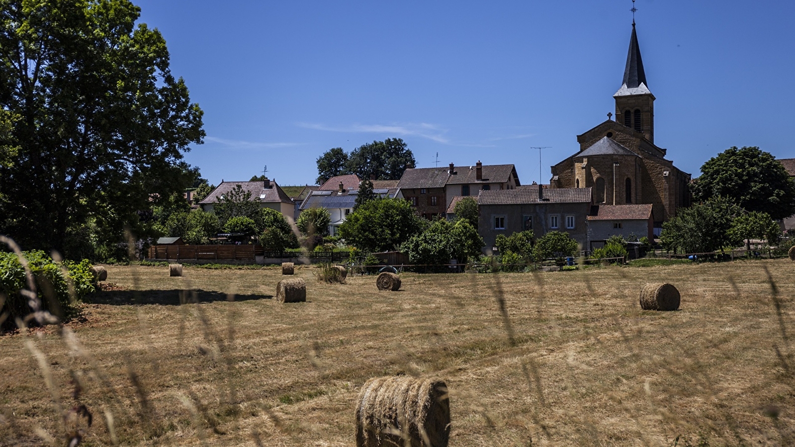 Notre Dame des Champs