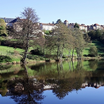 Itinéraire VTT : circuit 20 bleu, base Belmont-de-la-Loire - BELMONT-DE-LA-LOIRE