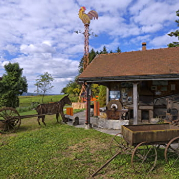 La Forge du Moulin - MARIGNY