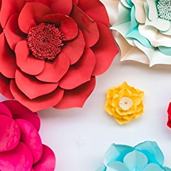 Botaniste en herbe - Atelier pour les 4-6 ans. - AUTUN