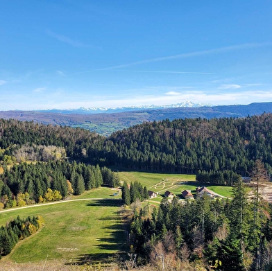 Parcours VTTAE 64 bleu - Montfalcon - Espace FFC Ain Forestière