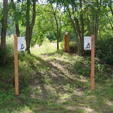 Balade en famille : Les sentiers-nature des Brocs