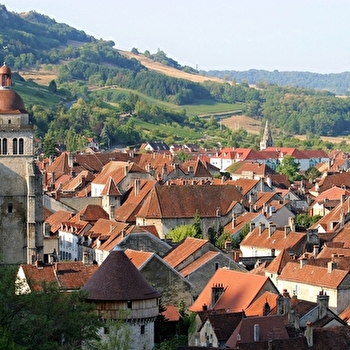 Collégiale Saint Hippolyte - POLIGNY