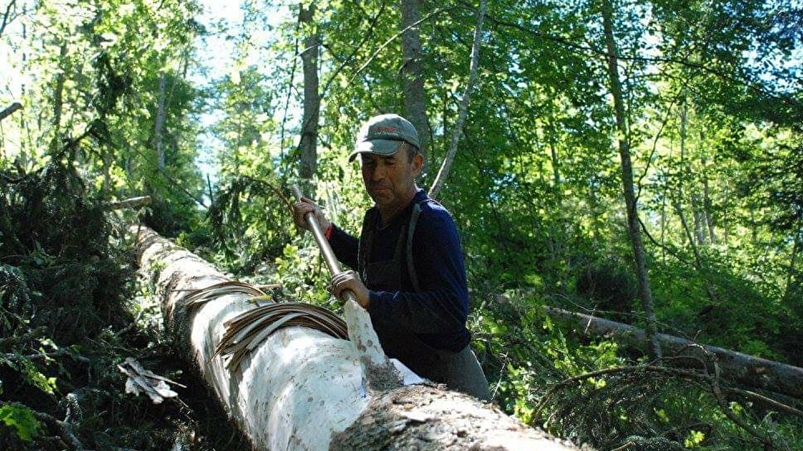 Découverte du métier de 'Sanglier'