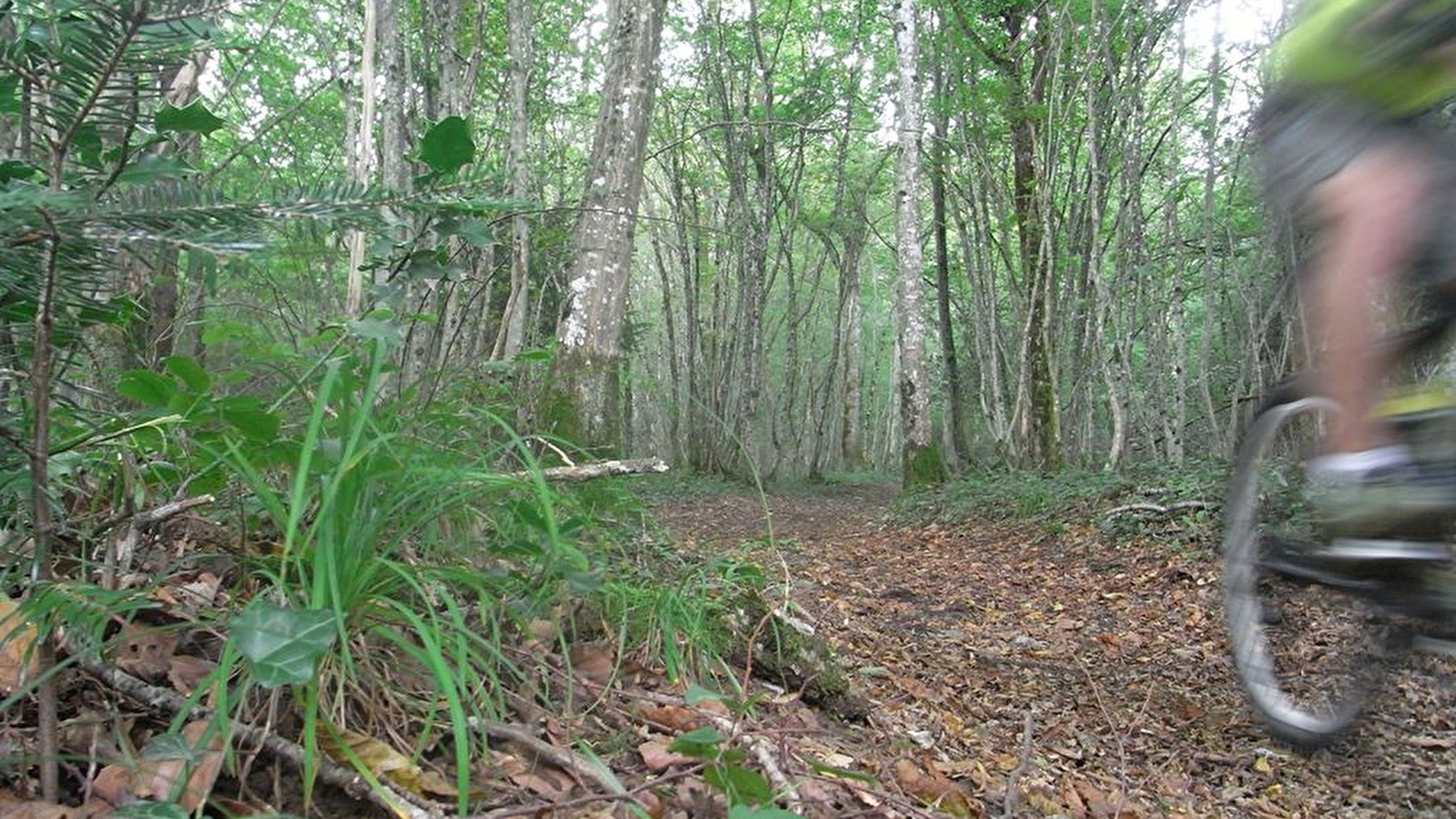 Chenecey Buillon - n° 57