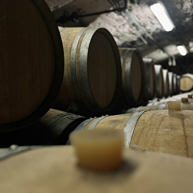 Château de Lachassagne