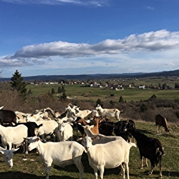 Ferme de la Fruitière - SAINT-PIERRE