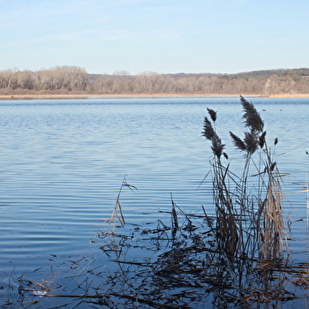 Lac de Marcenay - MARCENAY