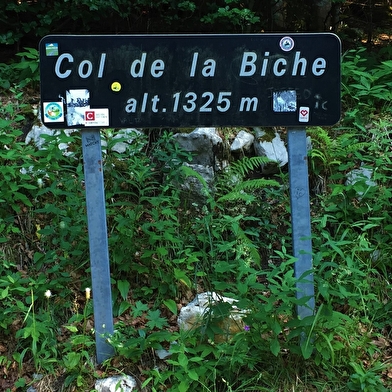 Circuit vélo : Le Grand Colombier et le col de la Biche depuis les Plans d'Hotonnes