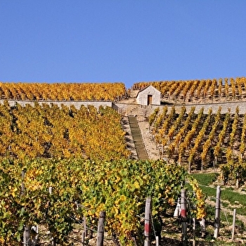 Les Coteaux de Collan - COLLAN