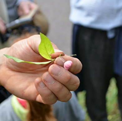 découverte 'Baies sauvages' ENS2026 - sur réservation