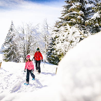 Une semaine d'évasion nordique à la Station des Rousses