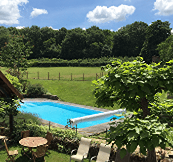 Le chant des oiseaux - VIRY