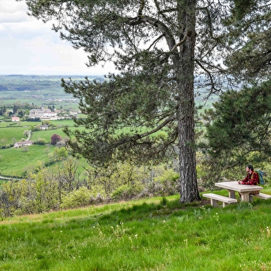 Aire de pique nique au sommet du Mont Dardon