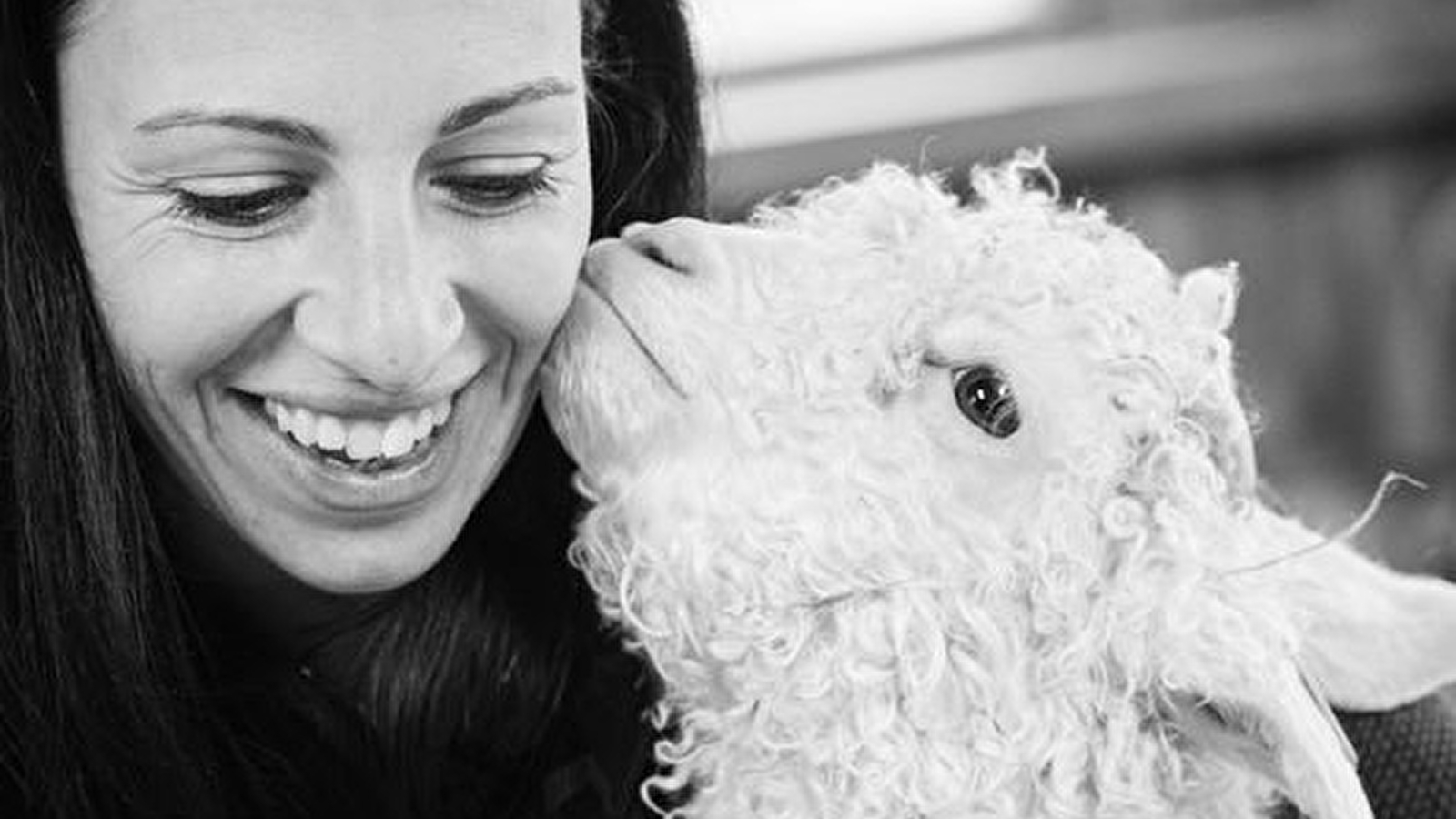 Les P'tits Sentiers Ân'imés