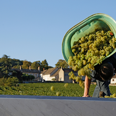 Domaine de l'Evêché - Joussier Quentin et Vincent