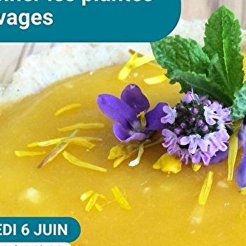 Sortie-atelier 'Cuisiner les plantes sauvages' - POUILLY-SUR-LOIRE