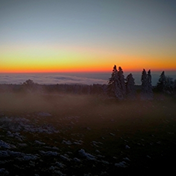 Rando lever de soleil  : Sur les traces des grands prédateurs - METABIEF