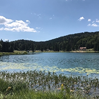 Parcours VTT 68 bleu - Lac Genin et les bois de Puthod et des Millières - Espace FFC Ain Forestière - CHARIX