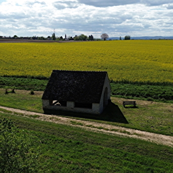 De la forêt communale à la Saône - BEY