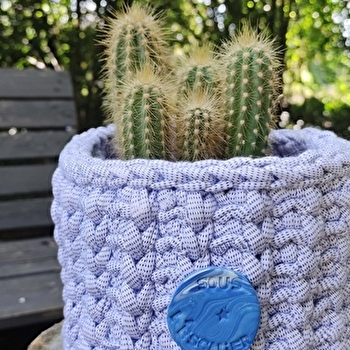 Sous l'escalier - RIOZ