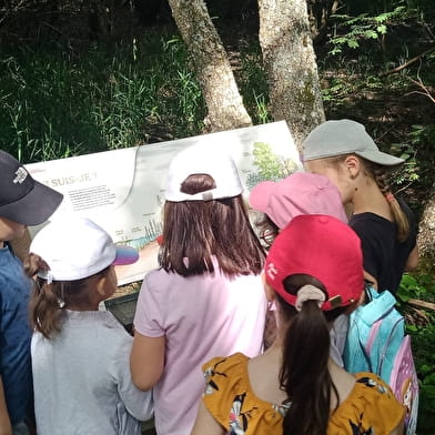 Sentier de découverte de l'étang Taureau