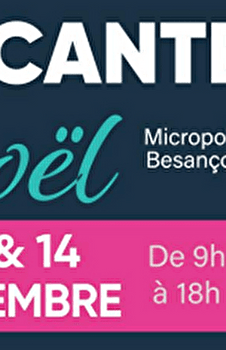 Micropolis : la Grande Brocante de Noël - BESANCON