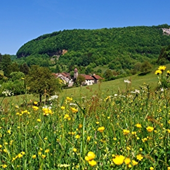 La Reculée de Blois-sur-Seille - BLOIS-SUR-SEILLE