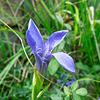 Sentier du Jardin des Marnes - ETERNOZ-VALLEE-DU-LISON