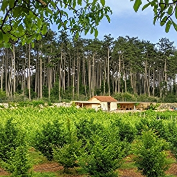 Balade, découverte et dégustation chez Jean-Louis : le Clos de la Belle Châtelaine - BEAUNE