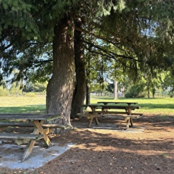 Site de pique-nique à la base de loisirs de la Saline - LURE
