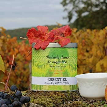 Vertcitron - NAVILLY