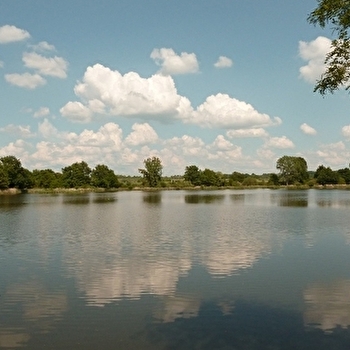 L'étang de Marvy - NEUVY-SUR-LOIRE