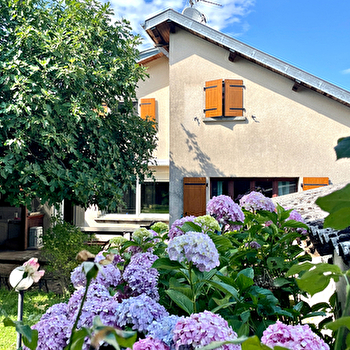 La Casa Del Papa - DOLE