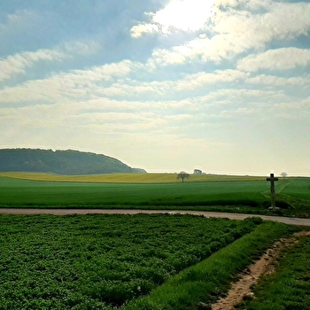 Chemin des écrivains : Romain Rolland - BREVES
