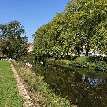 La Petite Maison de Marie - PORT-SUR-SAONE