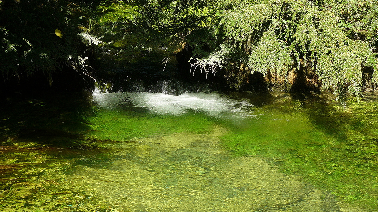 Balade : de la grande source aux sources