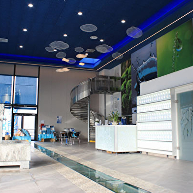 Source de Velleminfroy