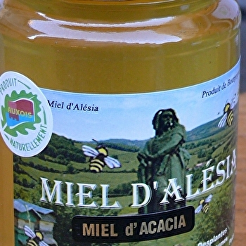 Rucher et Verger d'Alésia - FLAVIGNY-SUR-OZERAIN