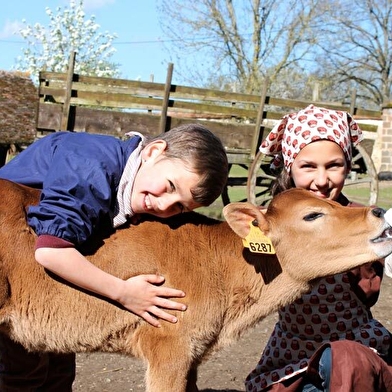 Plongez dans l'univers d'une ferme d'antan