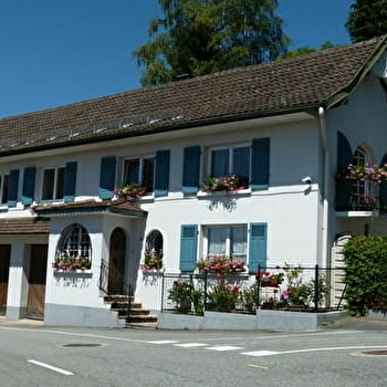 Les Mésanges - ROUGEGOUTTE