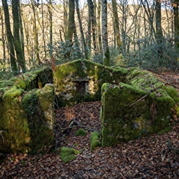 Visite commentée Bagne des Blandins en Néerlandais - ARLEUF