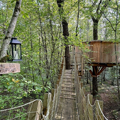 Nids d'Aurore et des PiousPious