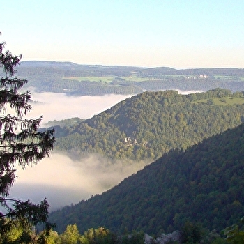 Les 2 combes - SAINT-JULIEN-LES-RUSSEY