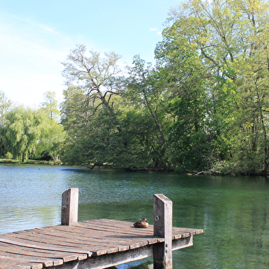 Visite guidée 'Beaune, entre cours & jardins' - avec atelier olfactif