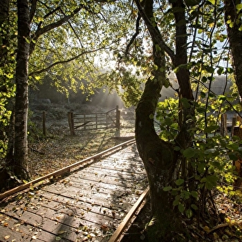 Domaine départemental des Grands-près - SAINT-AGNAN