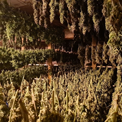 Jardin des Eaux Vives du Morvan