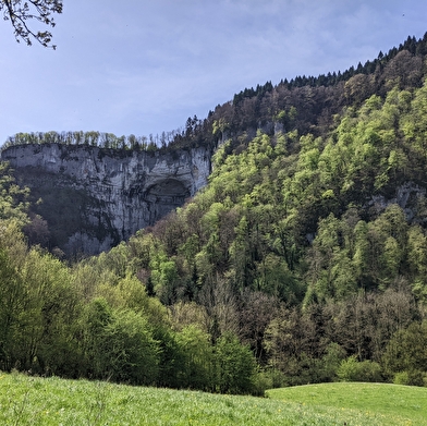 Sentier Courbet 5 : Le Lison et ses sources